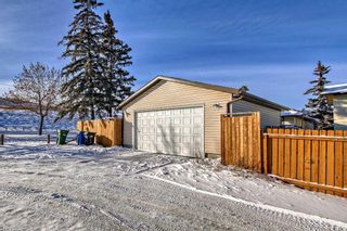 Photo 45: 79 Beaconsfield Way NW in Calgary: Beddington Heights Detached for sale : MLS®# A2102647