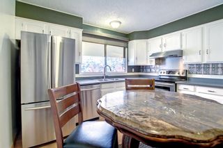 Photo 11: 655 Templeside Road NE in Calgary: Temple Detached for sale : MLS®# A1250670