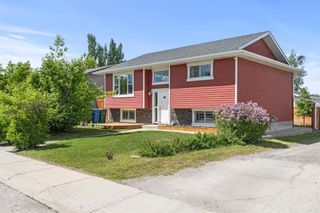 Photo 1: 202 Edward Avenue in Diamond Valley: A-7662 Detached for sale : MLS®# A2144172