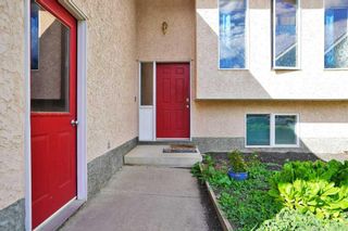 Photo 2: 38 Balsam Crescent: Olds Detached for sale : MLS®# A2080787