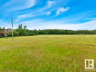 Photo 12: #5 471021 Range Road 242A: Rural Wetaskiwin County Vacant Lot/Land for sale : MLS®# E4323772