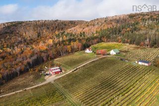 Photo 7: 5349 Marble Mountain Road in Marble Mountain: 306-Inverness County / Inverness Farm for sale (Highland Region)  : MLS®# 202225610