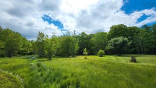 Photo 9: Acreage Aldershot Road in North Kentville: Kings County Vacant Land for sale (Annapolis Valley)  : MLS®# 202412443