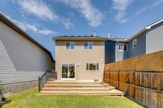 Photo 33: 134 Auburn Bay Heights SE in Calgary: Auburn Bay Detached for sale : MLS®# A1234731