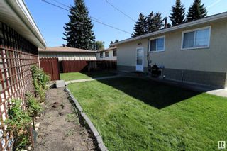 Photo 5: 6116 85 Avenue NW in Edmonton: Zone 18 House for sale : MLS®# E4358036