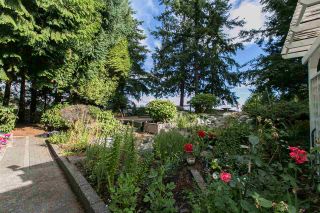 Photo 18:  in West Vancouver: Cypress Park Estates House for rent : MLS®# AR17G