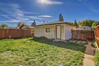 Photo 31: 3030 30A Street SE in Calgary: Dover Detached for sale : MLS®# A2081110
