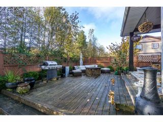 Photo 20: 32650 GREENE Place in Mission: Mission BC House for sale : MLS®# R2221497