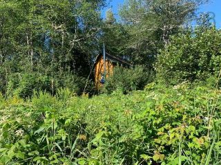 Photo 3: 3770 321 Highway in Oxford Junction: 102S-South of Hwy 104, Parrsboro Vacant Land for sale (Northern Region)  : MLS®# 202220658