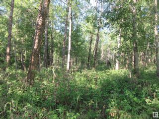 Photo 10: RR 223 Twp Rd 612: Rural Thorhild County Vacant Lot/Land for sale : MLS®# E4318874