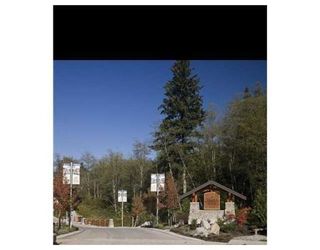 Photo 10: # 81 24185 106B AV in Maple Ridge: Condo for sale : MLS®# V843985