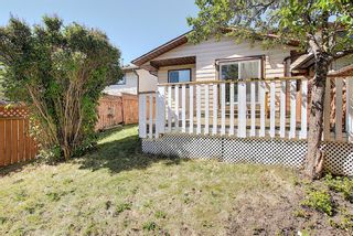 Photo 39: 210 EDGEDALE Place NW in Calgary: Edgemont Semi Detached for sale : MLS®# A1032699
