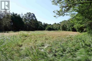 Photo 12: Lot Highway 10|PID#60721289 in Pinehurst: Vacant Land for sale : MLS®# 202319807