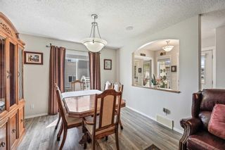 Photo 13: 523 Stonegate Way NW: Airdrie Semi Detached (Half Duplex) for sale : MLS®# A2129659
