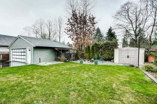 Photo 14: 11824 STEPHENS Street in Maple Ridge: East Central House for sale : MLS®# R2237659