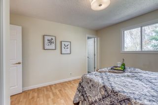 Photo 11: 379 Whitlock Way NE in Calgary: Whitehorn Detached for sale : MLS®# A1217820