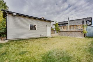 Photo 24: 85 BIG SPRINGS Drive SE: Airdrie Detached for sale : MLS®# A1037213