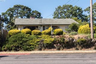 Photo 20: 918 Bay St in VICTORIA: Vi Hillside House for sale (Victoria)  : MLS®# 787949