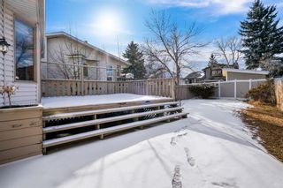 Photo 36: 128 Scenic Cove Circle NW in Calgary: Scenic Acres Detached for sale : MLS®# A1190856