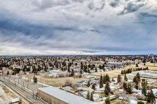 Photo 36: 1806 8710 Horton Road SW in Calgary: Haysboro Apartment for sale : MLS®# A2043585