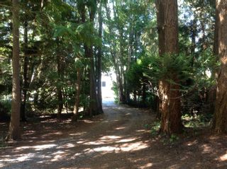 Photo 3: 1574 FARRELL Avenue in Tsawwassen: Beach Grove Land for sale : MLS®# R2762053
