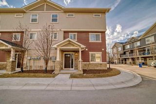 Main Photo: 925 Skyview Ranch Grove NE in Calgary: Skyview Ranch Row/Townhouse for sale : MLS®# A2123194