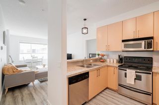 Photo 14: 409 880 Centre Avenue NE in Calgary: Bridgeland/Riverside Apartment for sale : MLS®# A2039648