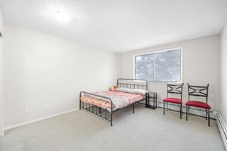 Photo 17: 203B 7301 4A Street SW in Calgary: Kingsland Apartment for sale : MLS®# A2106207