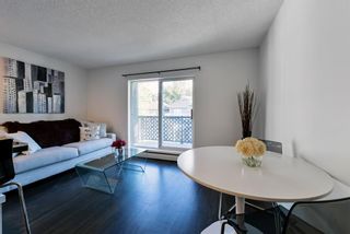 Photo 11: 203 912 19 Avenue SW in Calgary: Lower Mount Royal Apartment for sale : MLS®# A1251094