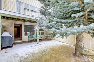 Photo 22: 121 Citadel Estates Manor NW in Calgary: Citadel Row/Townhouse for sale : MLS®# A1177013