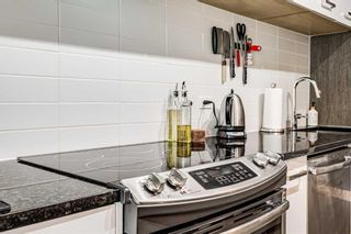Photo 10: 304 811 5 Street NE in Calgary: Renfrew Apartment for sale : MLS®# A2127428