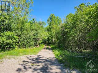 Photo 14: Lot 4-5 Con 3 MCLELLAN ROAD in Gillies Corners: Vacant Land for sale : MLS®# 1343884