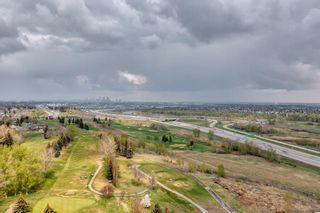 Photo 39: 10507 Mapleridge Crescent SE in Calgary: Maple Ridge Detached for sale : MLS®# A2047181