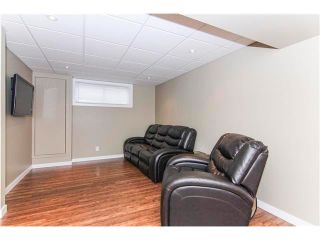 Photo 37: 230 CRANBERRY Close SE in Calgary: Cranston House for sale : MLS®# C4063122