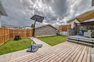 Photo 46: 2119 24 Avenue NE in Calgary: Vista Heights Detached for sale : MLS®# A2142235