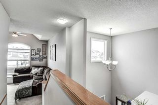 Photo 23: 116 Bridlewood Circle SW in Calgary: Bridlewood Detached for sale : MLS®# A2118131