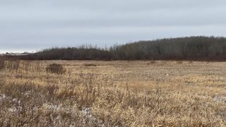 Photo 5: 0 Three Mile Road: St Clements Vacant Land for sale (R02)  : MLS®# 202118307