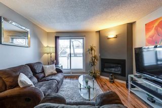 Photo 13: 11 2411 Edenwold Heights NW in Calgary: Edgemont Apartment for sale : MLS®# A2033813