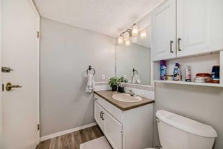 Photo 20: 109 110 20 Avenue NE in Calgary: Tuxedo Park Apartment for sale : MLS®# A2122096