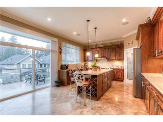 Photo 3: 1356 PAQUETTE Street in Coquitlam: Burke Mountain House for sale : MLS®# V1079061