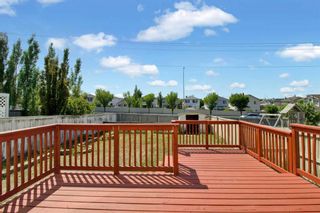 Photo 30: 427 Millrise Square SW in Calgary: Millrise Detached for sale : MLS®# A2054824
