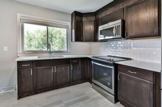 Photo 4: 1423 16A Street NE in Calgary: Mayland Heights Detached for sale : MLS®# A1182831