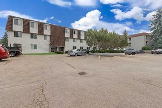 Photo 20: 201 516 Cedar Crescent SW in Calgary: Spruce Cliff Apartment for sale : MLS®# A2027231