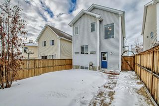 Photo 49: 22 Tuscany Springs Road NW in Calgary: Tuscany Detached for sale : MLS®# A2021111