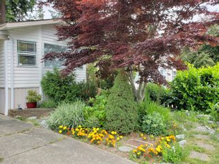Photo 39: 2132 Stadacona Dr in Comox: CV Comox (Town of) Manufactured Home for sale (Comox Valley)  : MLS®# 892279