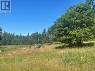 Photo 25: 1137 Route 170 in Oak Bay: Vacant Land for sale : MLS®# NB075049