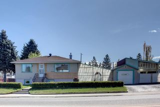 Photo 47: 2002 44 Street SE in Calgary: Forest Lawn Detached for sale : MLS®# A1222886