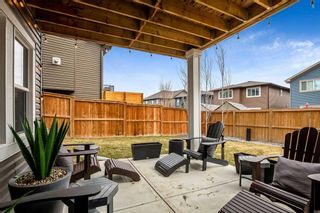 Photo 44: 51 Banded Peak View: Okotoks Detached for sale : MLS®# A2124172