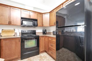 Photo 12: 203 69 Ironstone Drive: Red Deer Apartment for sale : MLS®# A2049255