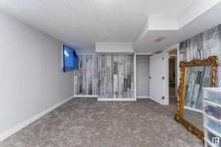 Photo 23: 11838 54 Street in Edmonton: Zone 06 House for sale : MLS®# E4320011